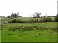 H4014 : Farmland at Tullyroane by Oliver Dixon