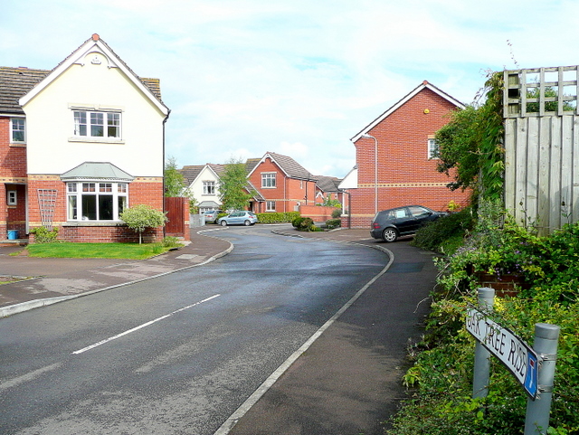 Oak Tree Rise Ross On Wye 1 © Jonathan Billinger Cc By Sa20 Geograph Britain And Ireland 