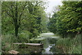 Alderman canal local nature reserve