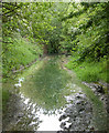 Flooded trackbed of dismantled railway