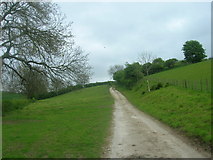 TA0167 : Bridleway towards Raven Hill Farm by JThomas