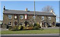 NY9868 : The Errington Arms by Mike Quinn