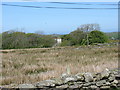 Remnants of the Rhosgoch heath near Gwredog