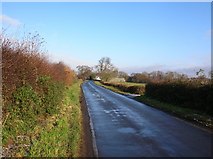 SE5946 : Acaster Lane by DS Pugh
