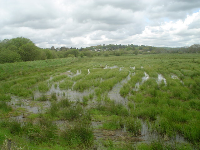 Water  Meadow by Kenmure Holms Dyke