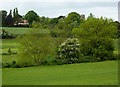 Fields rising beyond the River Fynn