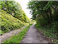 Trans Pennine Trail