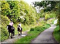 Riders on the Trail