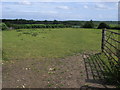 Footpath to Forty Green