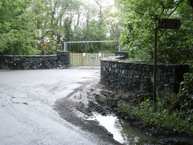 Entrance to Balrath Wood, Near Kentstown, Co. Meath