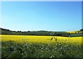 Farmland near Hanchurch