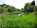 Buttsole pond, Eastry