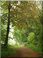 Old road into Dillington Park