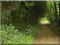 Footpath near Whitelackington