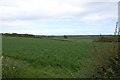 Fields near Guestling Thorne