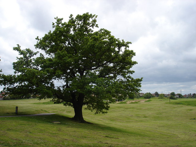 Landseer Park © Oxymoron cc-by-sa/2.0 :: Geograph Britain and Ireland