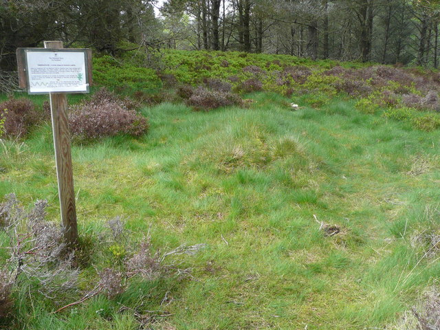 Hibernaculum on Craigower © Russel Wills cc-by-sa/2.0 :: Geograph ...