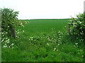 Farmland South East of Dunnington Grange