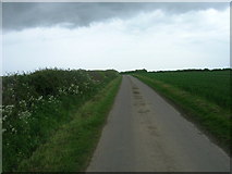 TA1550 : Minor Road Towards Bewholme by JThomas