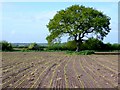 Farmland near Fossil Coppice