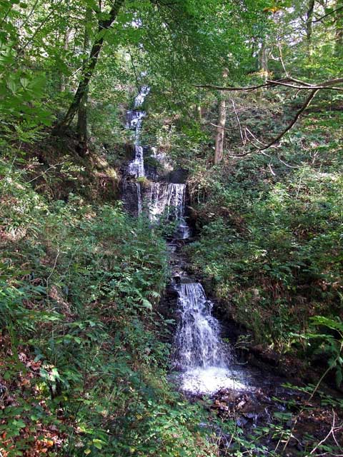 Cascade at Mosshouse Woods, Gnoll Country Park