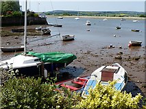 SX9687 : Boats moored by the River Exe by Robin Drayton