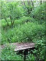 Footbridge in The Warren