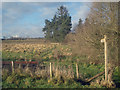 Public footpath at Downton