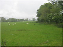 V8992 : Farmland at Grenagh by David Medcalf