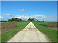 Track to Muston Wold Farm