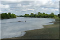 River Thames From Barnes