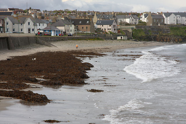 Seaweed on Thurso beach © Bob Jones cc-by-sa/2.0 :: Geograph Britain ...
