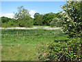 Pastures adjoining stream