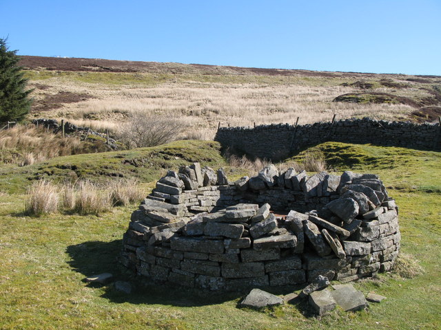 Head of a disused mine shaft above... © Mike Quinn :: Geograph Britain ...