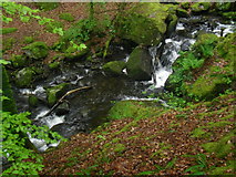 SH6414 : Waterfalls in the Arthog Woods by Peter S