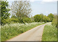 2009 : Quiet lane near West Foscote Farm