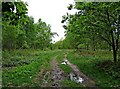 Start of public footpath through Lord