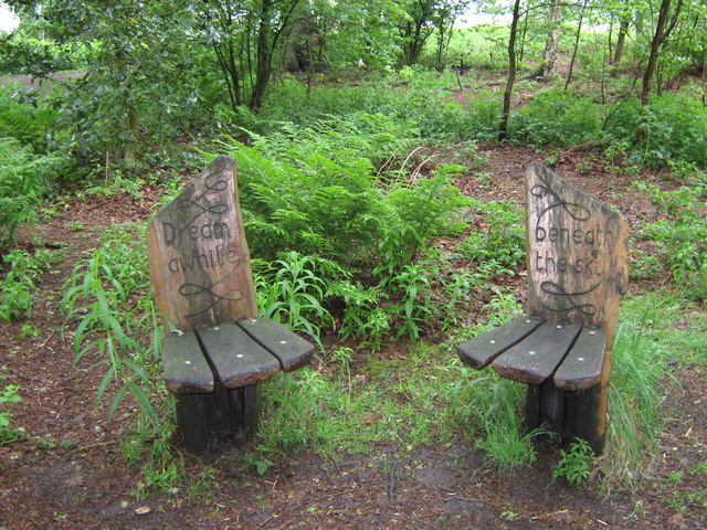 Wooden Seats