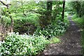 Bridleway, Bunsley Bank