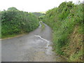 Entrance driveway to Beara Farm