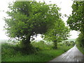 Road heading South over Buckabarrow Downs