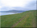 Green track and sheep above Llwyngwril