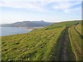 Green track above Llwyngwril, evening