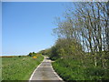 The Rhosbeirio between Hafodllin Fawr and Pen y Fynwent