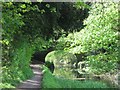 SP8810 : Wendover Arm: The trees overshadow the canal by Harelane Bridge by Chris Reynolds