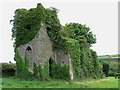 S5959 : Ivy Clad Ruin by kevin higgins