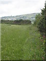 Footpath leading to Mennergwidden