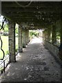 Covered walkway, Ruskin Park SE5