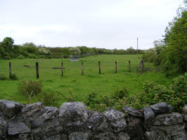 Pasture, Loughcurra North Townland