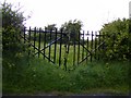 M3410 : Old iron gate giving access to small pasture, Roo Demesne Townland by Mac McCarron